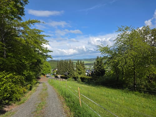 Geologischer Rundweg Düdinghausen (Premiumwanderweg)