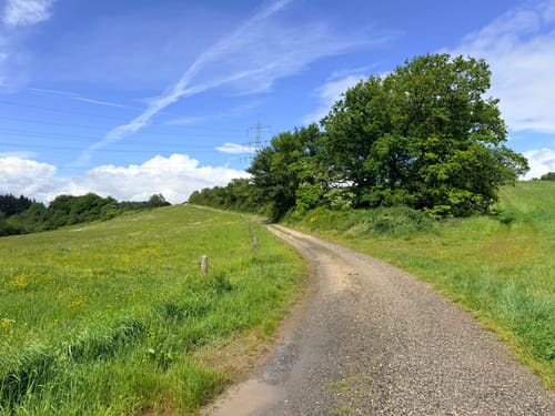 Wanderrundweg Fell - Besucherbergwerk Fell - Fellerhof - Fell (R13)