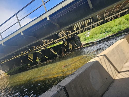 An der jungen Donau und durch ihr steinernes Bett