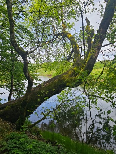 An der jungen Donau und durch ihr steinernes Bett