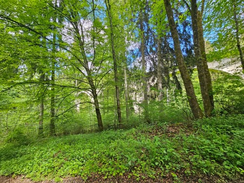 An der jungen Donau und durch ihr steinernes Bett