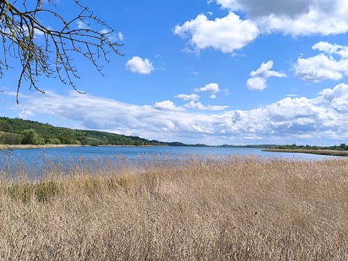 Eisleben Wormsleben um Süßer See