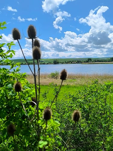 Eisleben Wormsleben um Süßer See