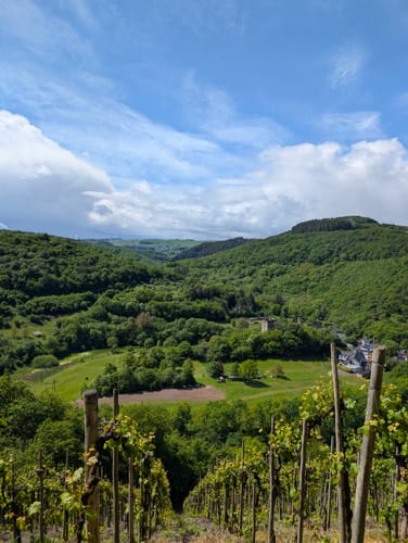 Entlang der Ruwer zur Burg Sommerau