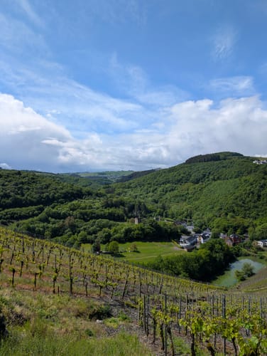 Entlang der Ruwer zur Burg Sommerau