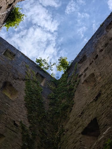 Entlang der Ruwer zur Burg Sommerau