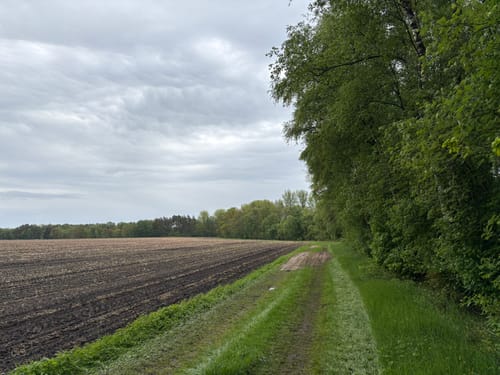 Nordpfad Zevener Geest