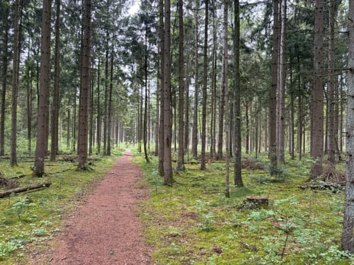 Nordpfad Zevener Geest