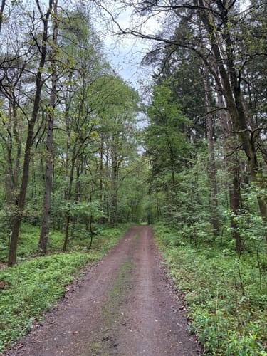 Nordpfad Zevener Geest