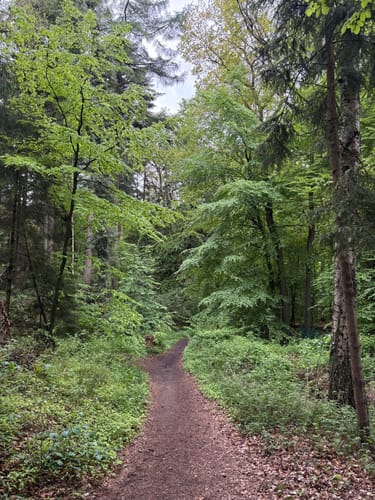 Nordpfad Zevener Geest