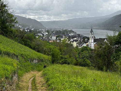 Rheinsteig Etappe 13: Kamp-Bornhofen - Kestert