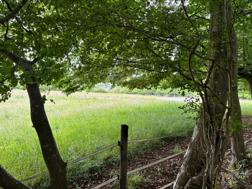 Frohn-Wald-Weg (Premiumwanderweg)