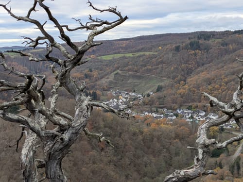 LahnWeinStieg