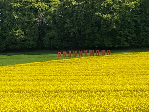 Braunsen Wanderweg B3