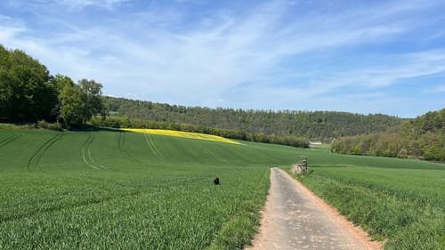 Braunsen Wanderweg B3