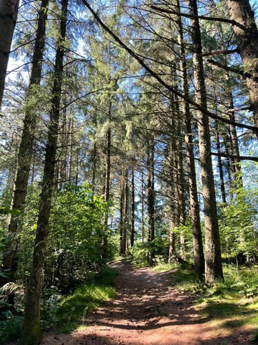 Langenhorn - Stollberg