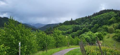 Gengenbach - Mattenhof