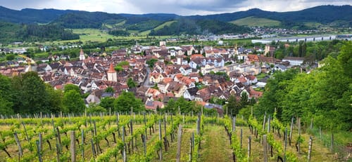Gengenbach - Mattenhof
