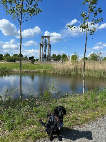 Schlosssee Gifhorn