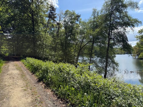 Rund um die Bevertalsperre