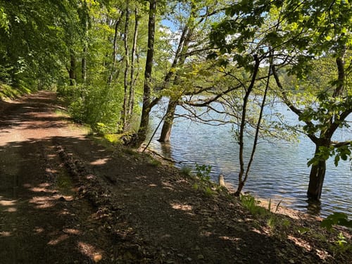 Rund um die Bevertalsperre