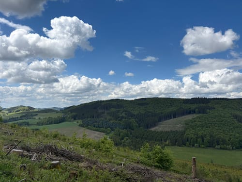 Kahler-Asten-Steig (Premiumwanderweg)