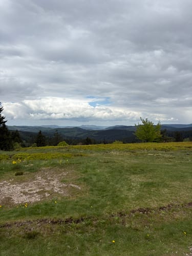 Kahler-Asten-Steig (Premiumwanderweg)