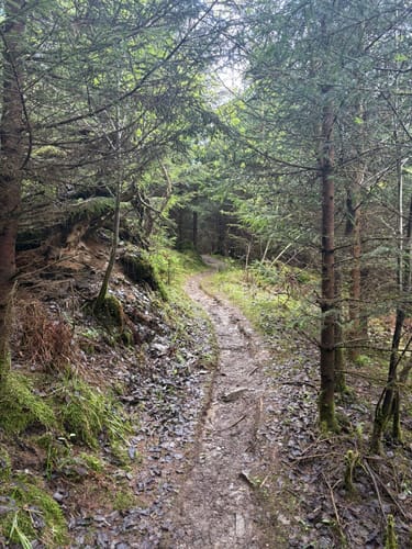 Kahler-Asten-Steig (Premiumwanderweg)