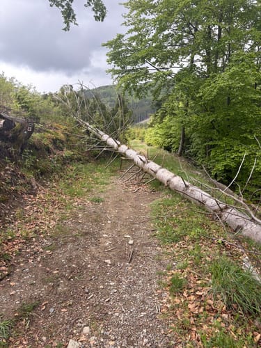 Kahler-Asten-Steig (Premiumwanderweg)
