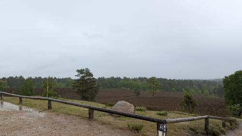Heidschnuckenweg Etappe 2: Buchholz in der Nordheide - Handeloh