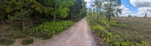 Heidschnuckenweg Etappe 3: Handeloh - Undeloh