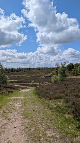 Heidschnuckenweg Etappe 3: Handeloh - Undeloh