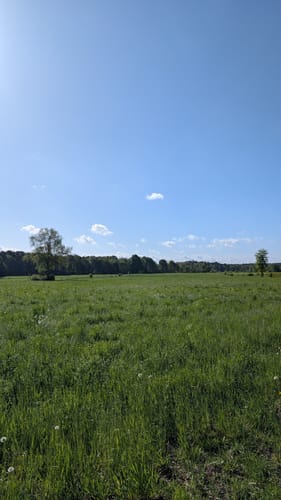 Heidschnuckenweg Etappe 3: Handeloh - Undeloh