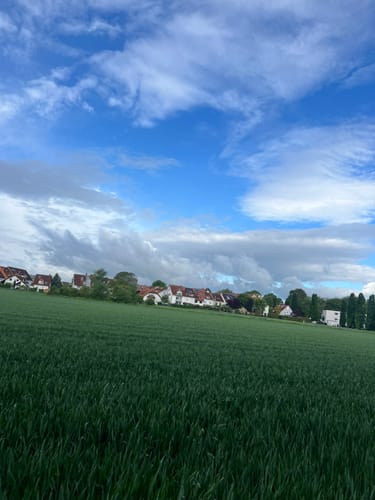 Bad Vilbel: Wanderweg 4