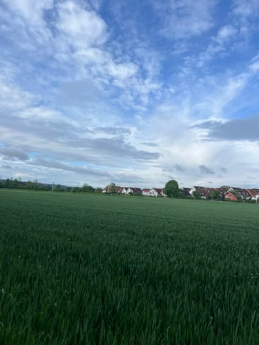Bad Vilbel: Wanderweg 4