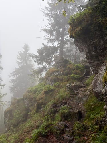 Glottertal - Gullerkopf - Gummenhütte