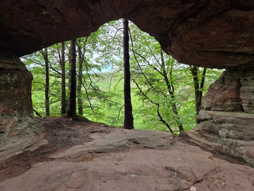 Dahner Felsenpfad (Premiumwanderweg)