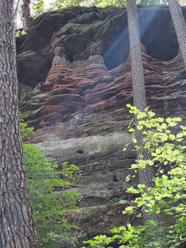 Dahner Felsenpfad (Premiumwanderweg)