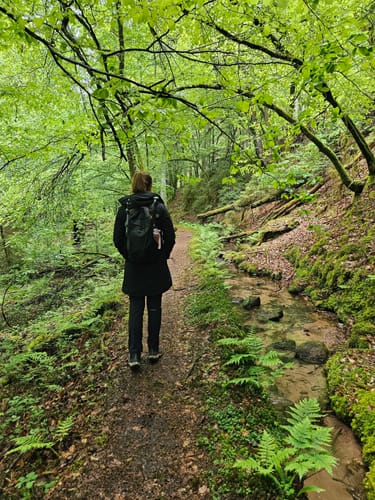 Elmstein und Esthal