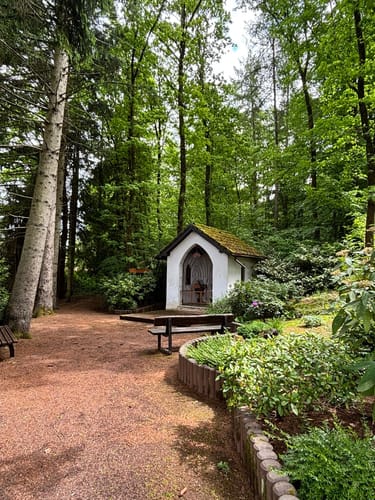 Waldzeit (Traumschleife)