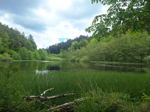 Durch die Karlstalschlucht ab Trippstadt