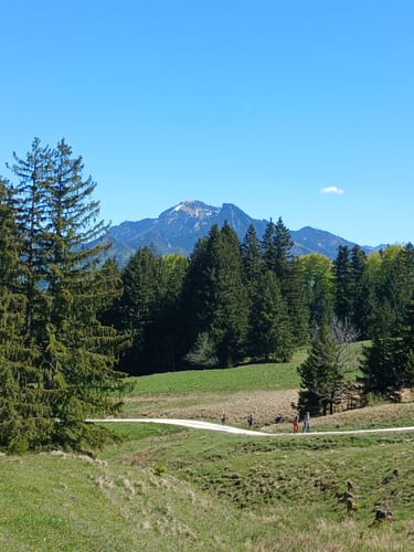 Über die Grassauer Almen (SalzAlpenTour)