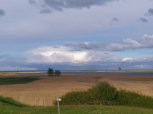 Gut Oehe - Maasholm