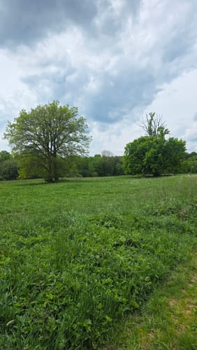 Drei-Seen-Tour Freiensteinau (Premiumwanderweg)