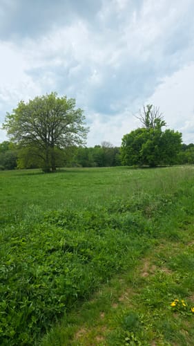 Drei-Seen-Tour Freiensteinau (Premiumwanderweg)