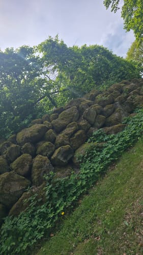 Drei-Seen-Tour Freiensteinau (Premiumwanderweg)