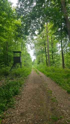 Drei-Seen-Tour Freiensteinau (Premiumwanderweg)