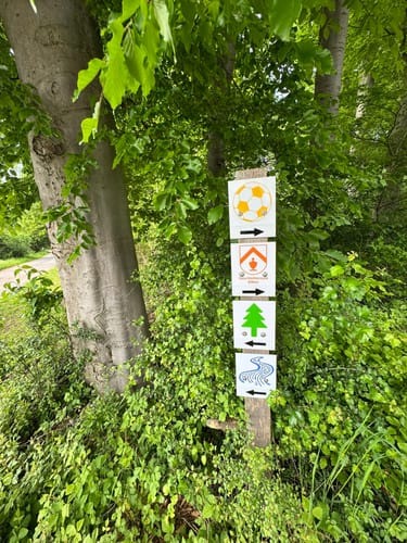 Rund um den Effelner Wald