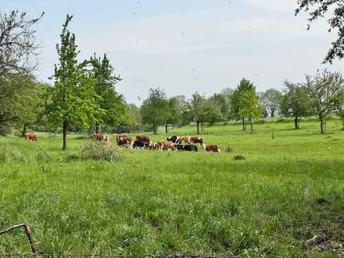 Rund um den Effelner Wald