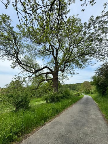 Rund um den Effelner Wald